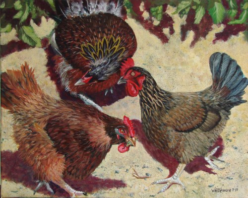 03 Murphy's Chickens complete