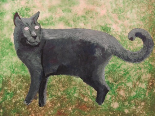 Armand B., Jan  2013